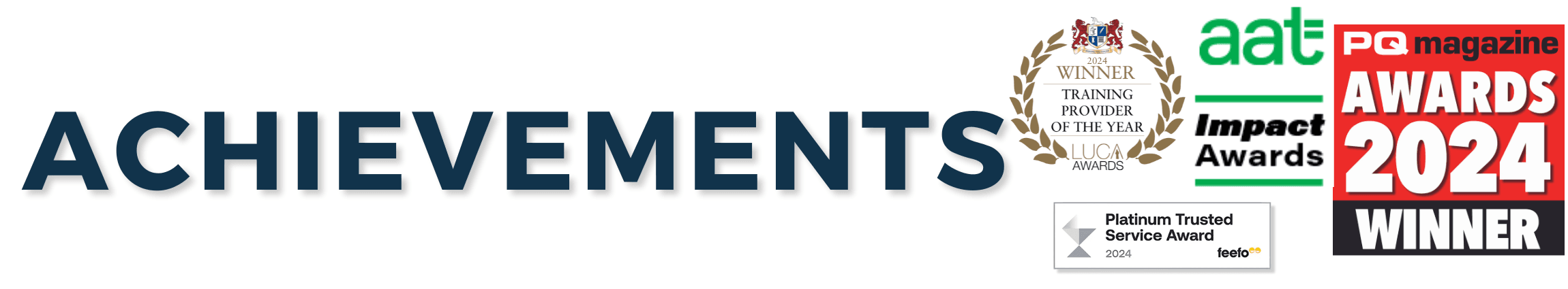 Blog Post - 2024 A Year of Triumphs - Asset 1 v2