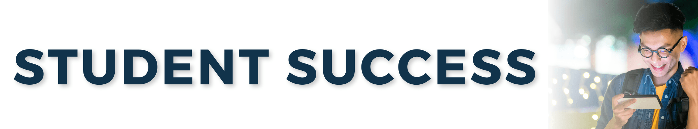 Blog Post - 2024 A Year of Triumphs - Asset 2 v3